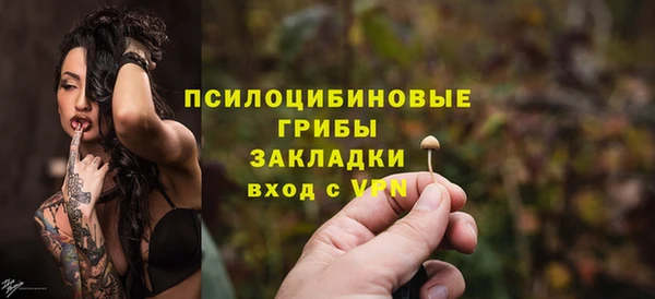 стафф Горно-Алтайск