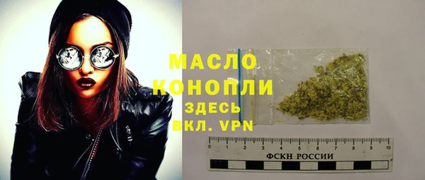 ECSTASY Горняк