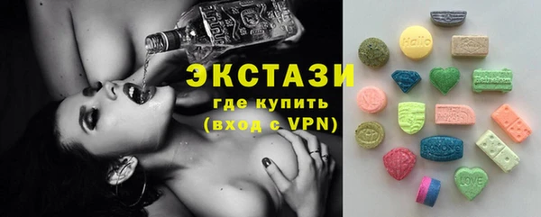 ECSTASY Горняк