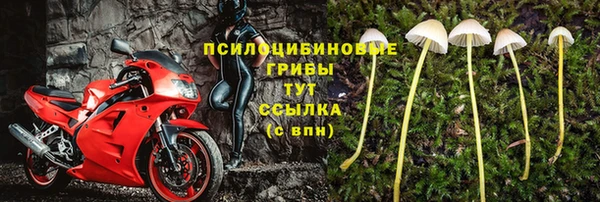 стафф Горно-Алтайск