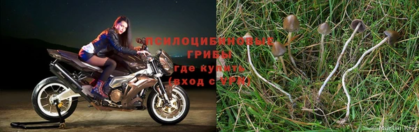 стафф Горно-Алтайск