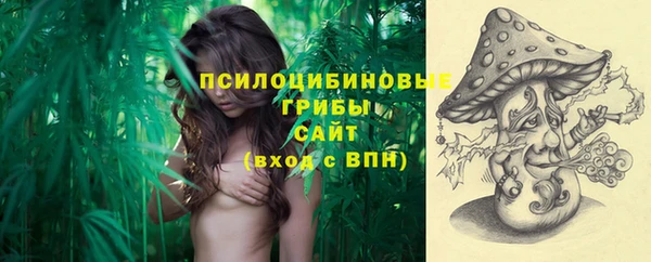 ECSTASY Горняк