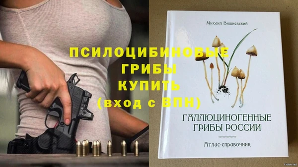 ECSTASY Горняк