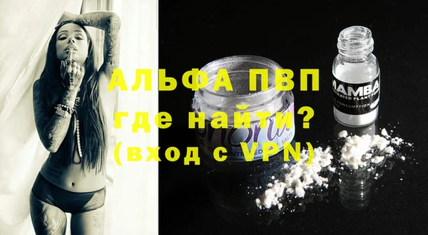 стафф Горно-Алтайск