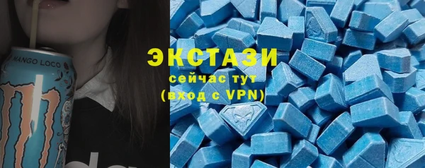 ECSTASY Горняк