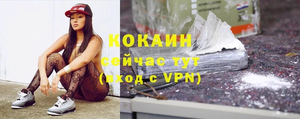 ECSTASY Горняк
