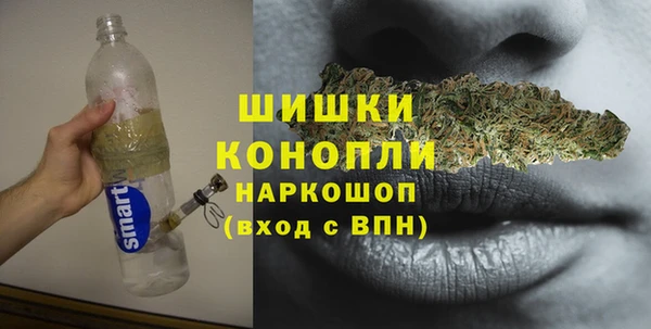 гашик Горнозаводск