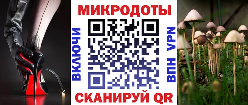 Псилоцибиновые грибы мицелий  купить наркотик  Чкаловск 