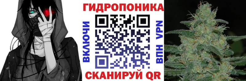 Марихуана планчик  как найти закладки  Чкаловск 